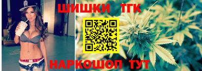 индика Краснознаменск