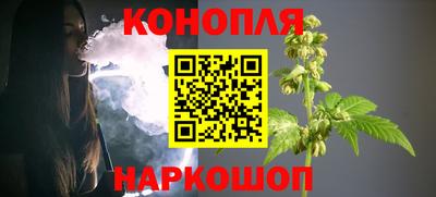 индика Краснознаменск